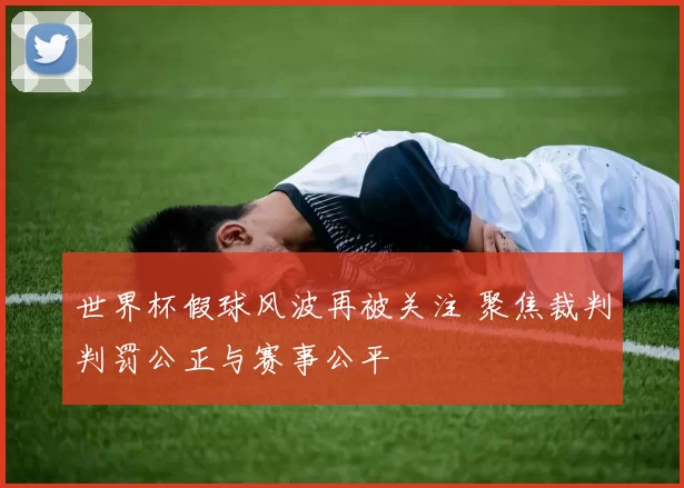 世界杯假球风波再被关注 聚焦裁判判罚公正与赛事公平